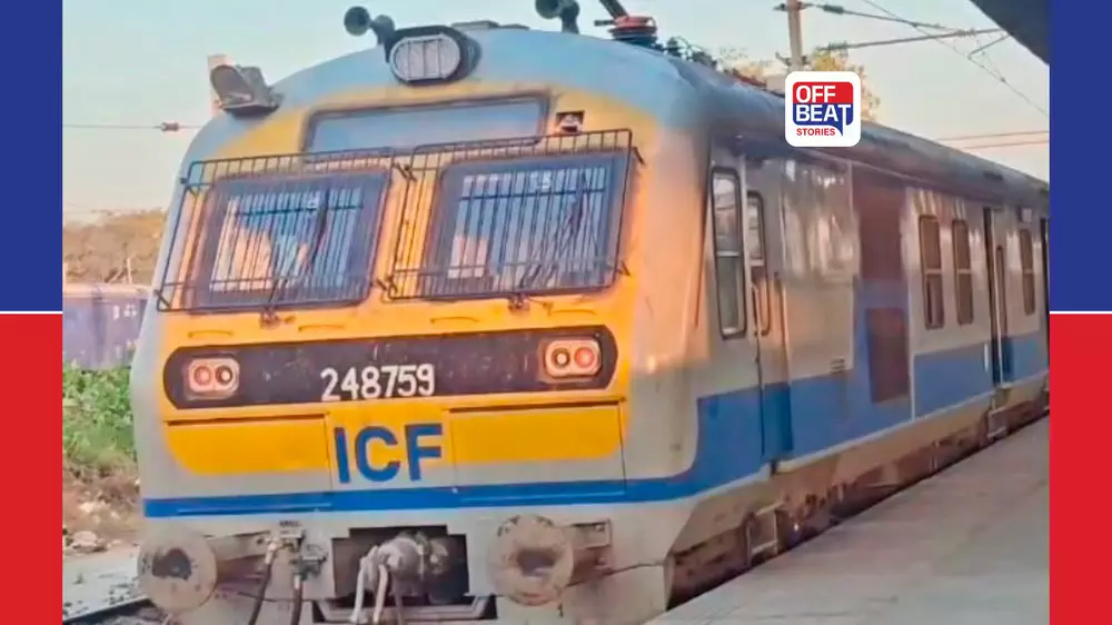 પૂરી રથયાત્રાની અસર વડોદરાવાસી પર