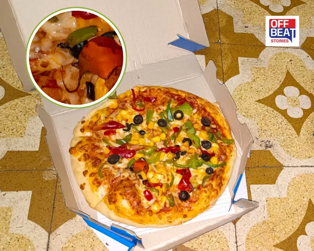 Pizza ખાવાના શોખીન હોવ તો ખાસ જાણી લેજો આ સમાચાર