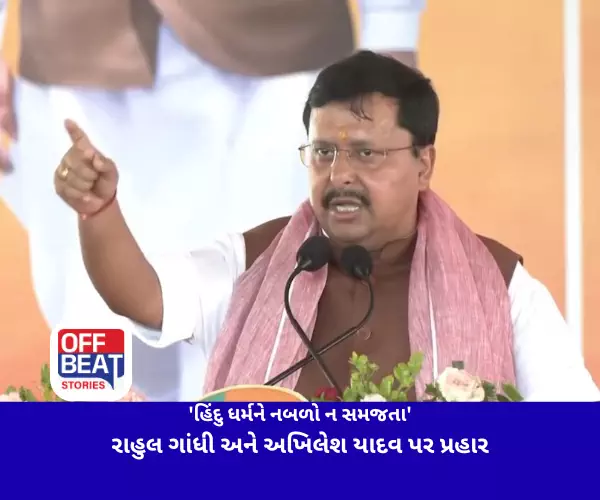 'હિંદુ ધર્મને નબળો ન સમજતા'