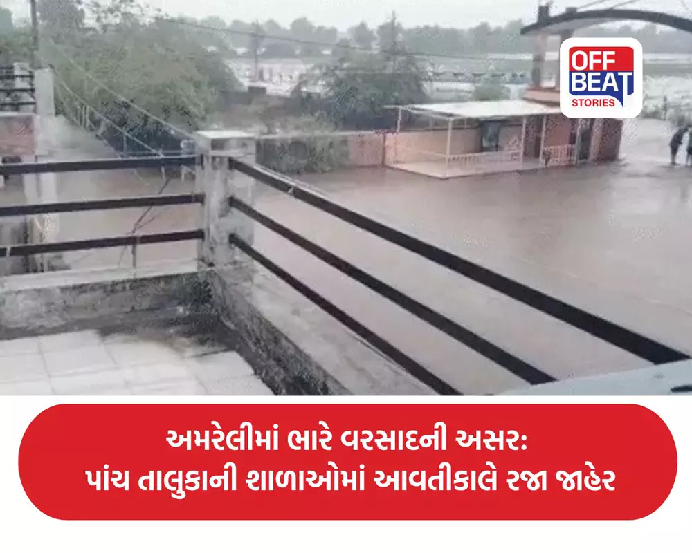 અમરેલીમાં ભારે વરસાદની અસર