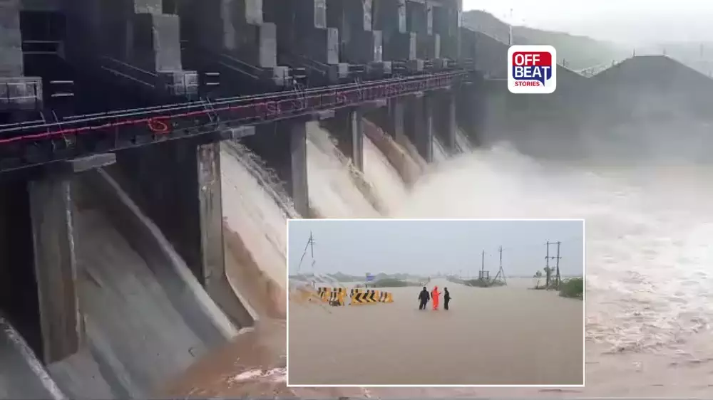 અમરેલી જિલ્લામાં મેઘરાજાનો કહેર