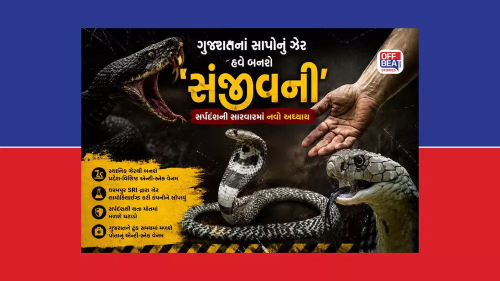 ગુજરાતનાં સાપોનું ઝેર હવે બનશે ‘સંજીવની’