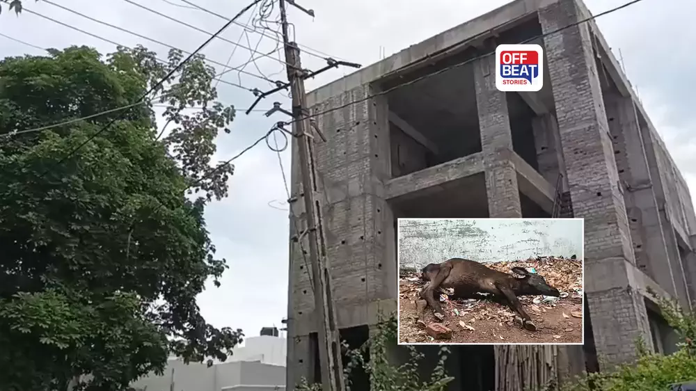 વડોદરામાં કરુણ ઘટના
