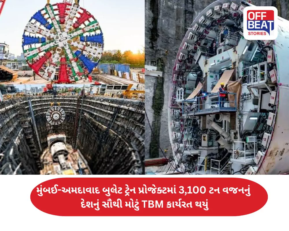 4 માળની ઊંચાઈ, 500 હાથી જેટલું વજન...