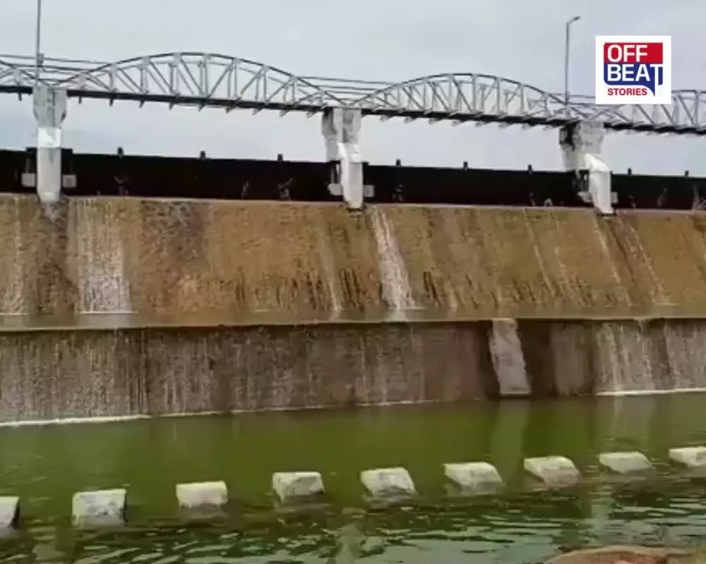 ભાવનગરના મહુવામાં માલણ ડેમ 90% ભરાયો