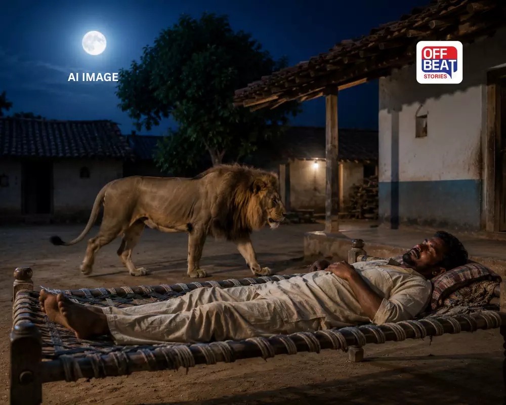 ઘરની ઓસરીમાં નિરાંતે સૂતો હતો પશુપાલક