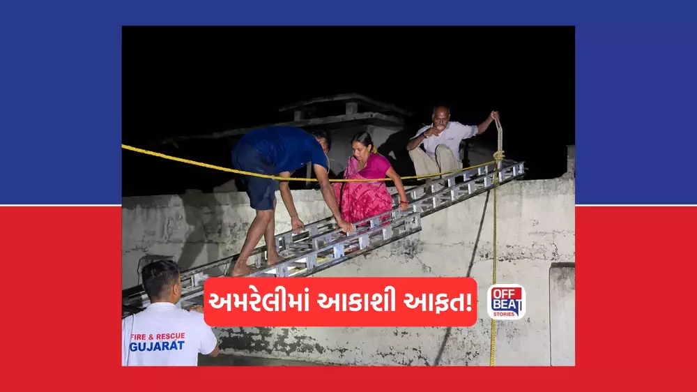 અમરેલીમાં આકાશી આફતથી અફરાતફરી