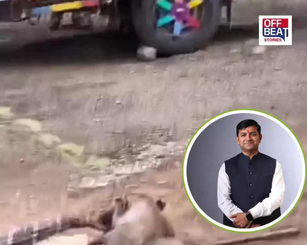 માલધારી પર સિંહના હુમલા બાદ સરકાર એક્શનમાં