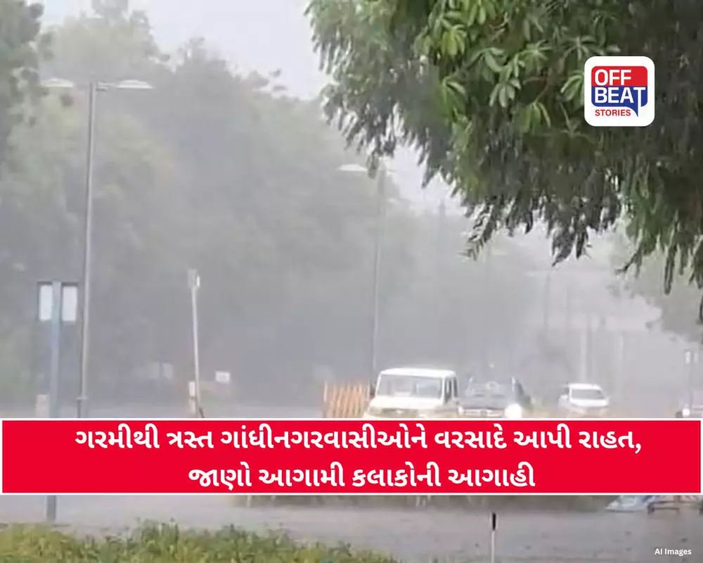 ગાંધીનગરમાં અચાનક વાતાવરણ પલટાયું!