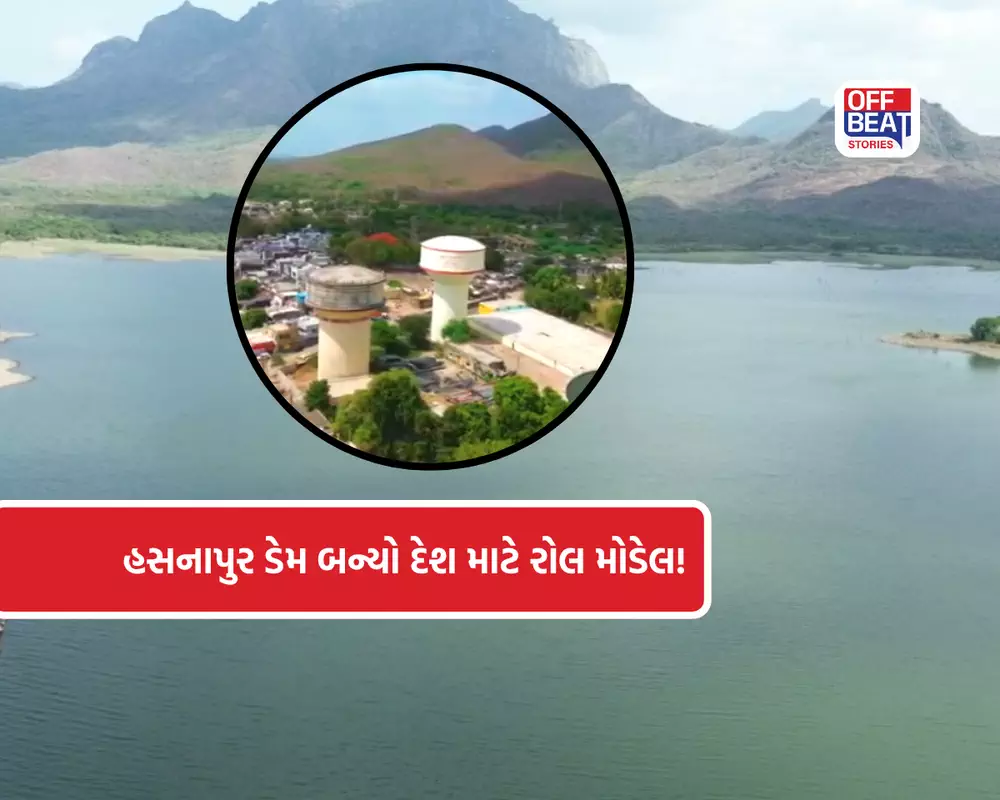 જૂનાગઢના હસનાપુર ડેમે રચ્યો ઇતિહાસ!