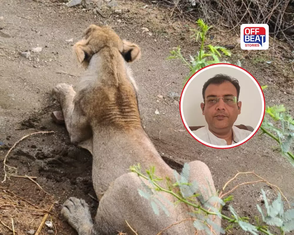 "દરેક હુમલા પછી માત્ર તપાસ નહીં, કાયમી ઉકેલ જરૂરી છે"