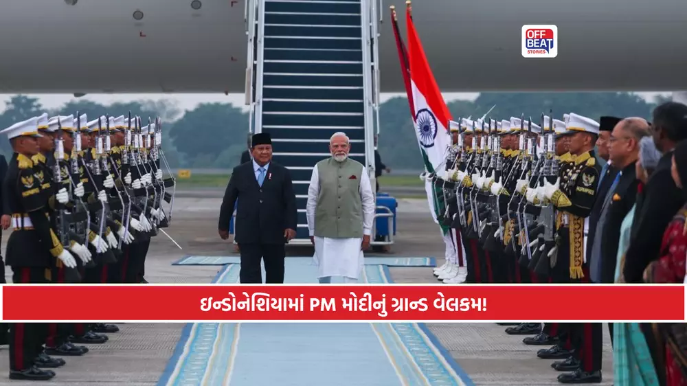 PM માટે ઈન્ડોનેશિયાએ શણગાર્યું આકાશ