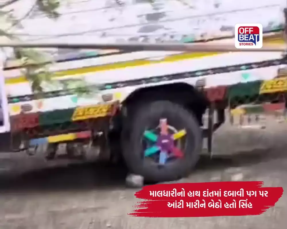 30 મિનિટ સુધી માથા પર બેઠું હતું મોત!