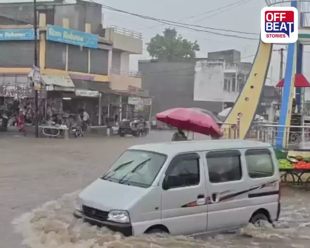 અમરેલીના દામનગરમાં ધોધમાર વરસાદ