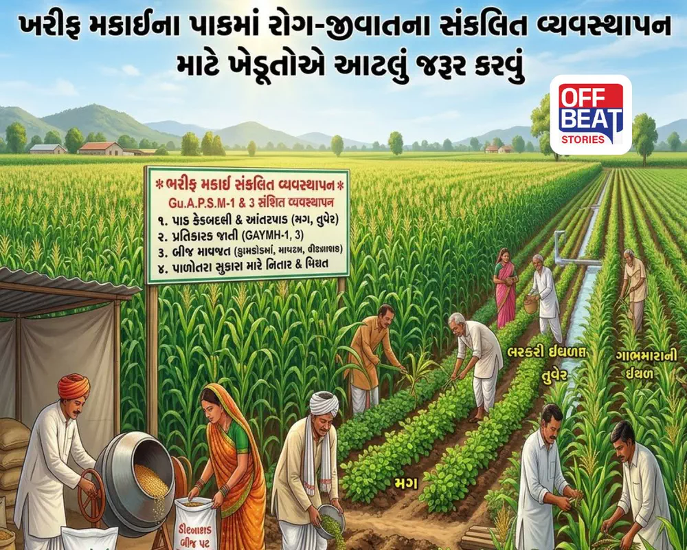 ખરીફ મકાઈના પાકમાં રોગ-જીવાતથી ચિંતિત છો?