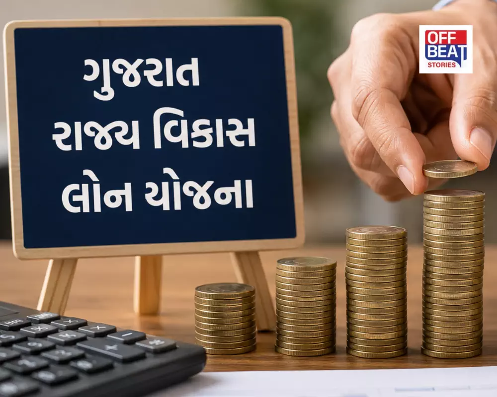 શું તમારી પાસે ગુજરાત રાજ્ય વિકાસ લોન છે?