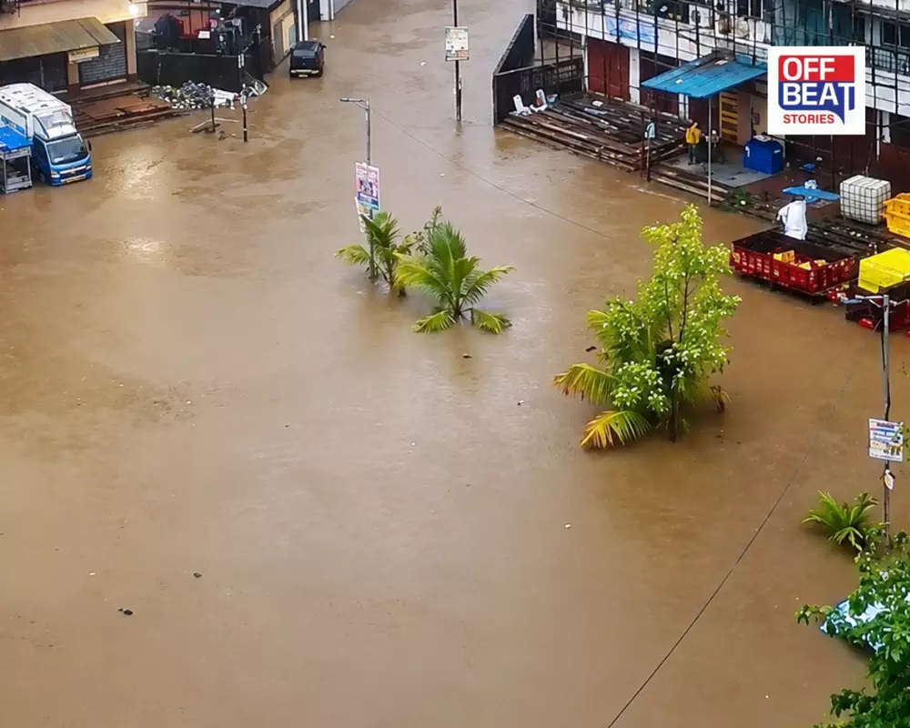 મહારાષ્ટ્રમાં વરસાદનો મહાકહેર