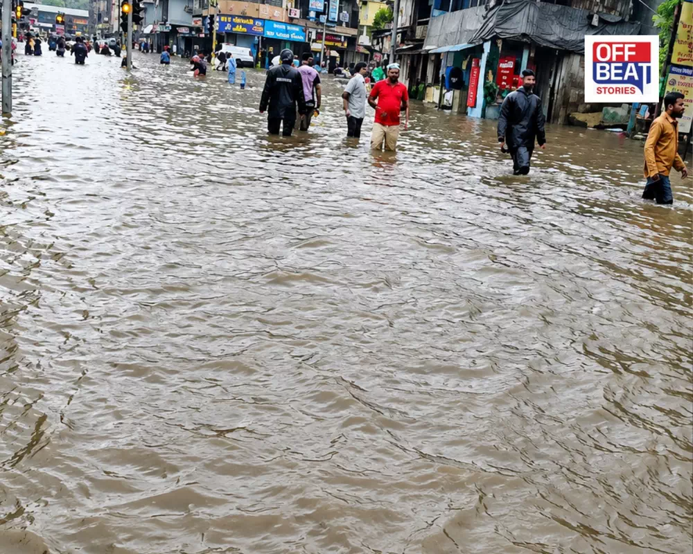 દક્ષિણ ગુજરાત અને સૌરાષ્ટ્રમાં આકાશી આફત