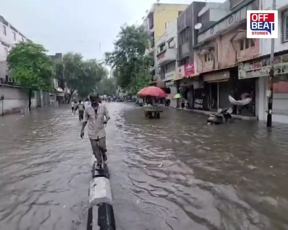 વરસાદી પાણી ભરાયા હોય તેવા દ્રશ્યો