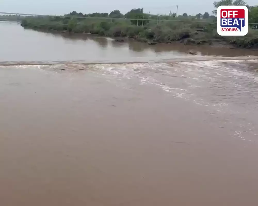 પાટણા ગામે કાળુભાર નદીમાં આવ્યા નવા નીર, સીઝનના પ્રથમ વરસાદે નદી બે કાંઠે વહેતી