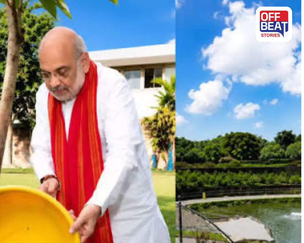 અમદાવાદ-ગાંધીનગરમાં 'ગ્રીન ગ્રોથ'નો મેગા પ્લાન