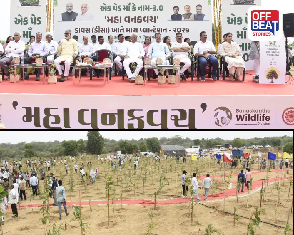 ગુજરાતના પ્રથમ 'મહા વન કવચ' પ્રોજેક્ટનો ડીસાના ડાવસ ગામેથી પ્રારંભ