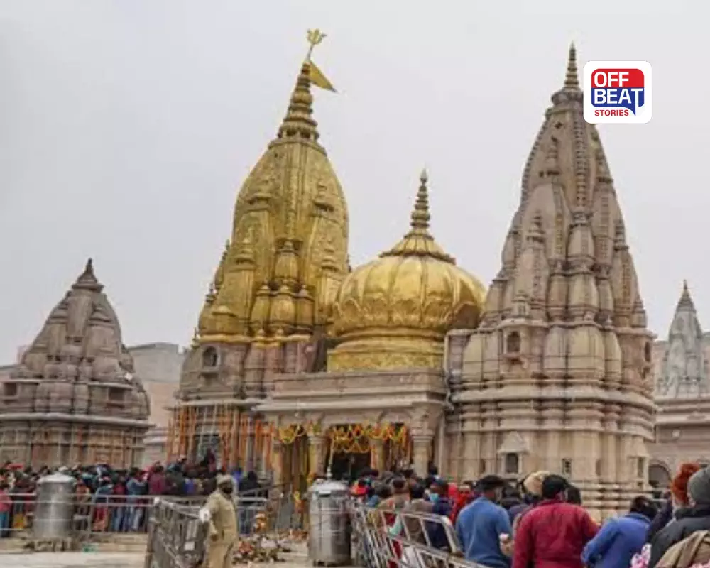 Kashi Vishwanath Temple Darshan