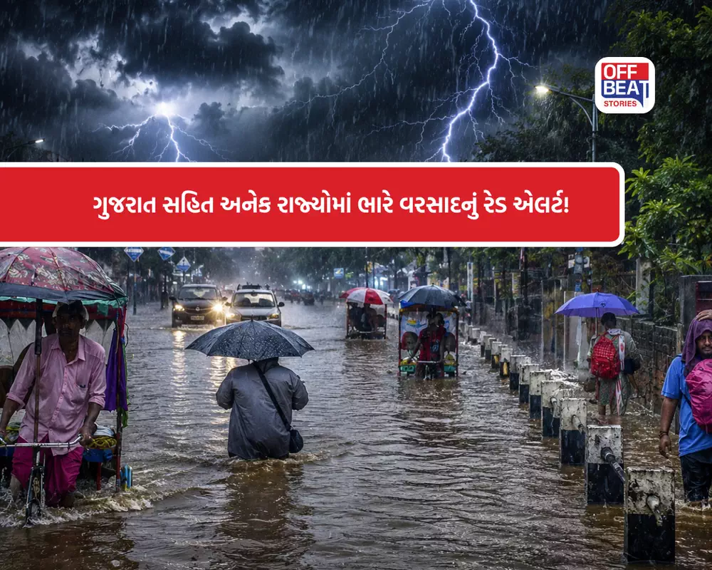 આગામી 72 કલાક ભારે! 15 રાજ્યોમાં વરસાદનું હાઈ એલર્ટ