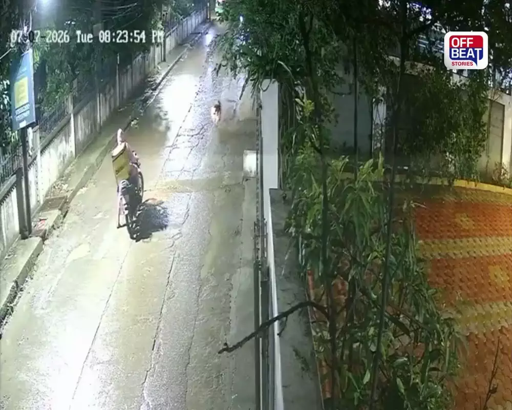 ડિલીવરી બોયની બાઈક પર દીપડાએ મારી છલાંગ