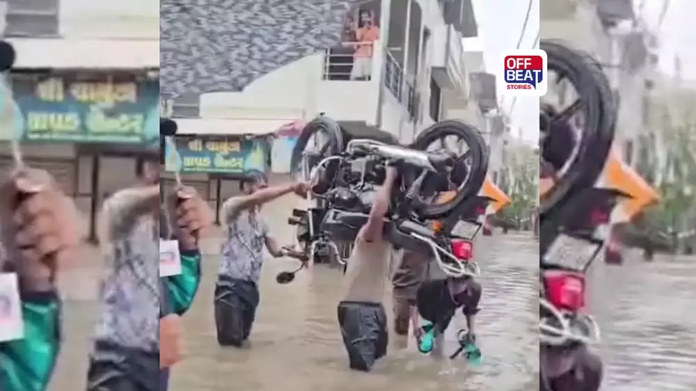 નવસારીમાં દેખાયો 'બાહુબલી'