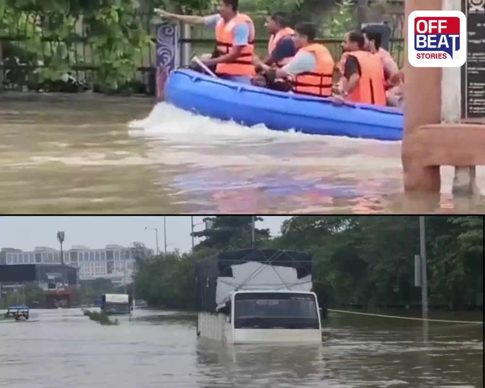 સુરતમાં વરસાદનો કહેર