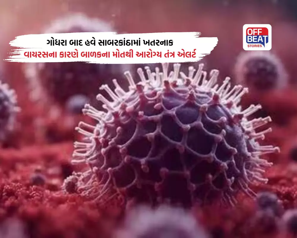 ગોધરા બાદ હવે સાબરકાંઠામાં ખતરનાક વાયરસની દહેશત