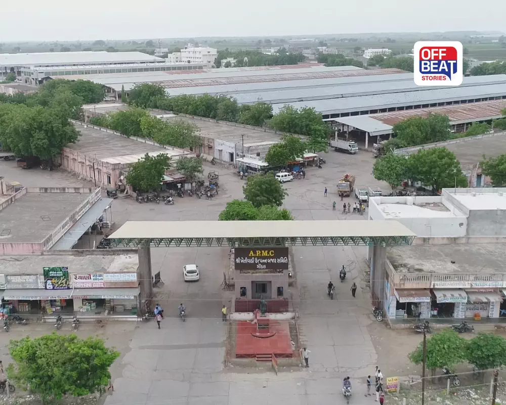 ખેડૂતો માટે કામના સમાચાર!