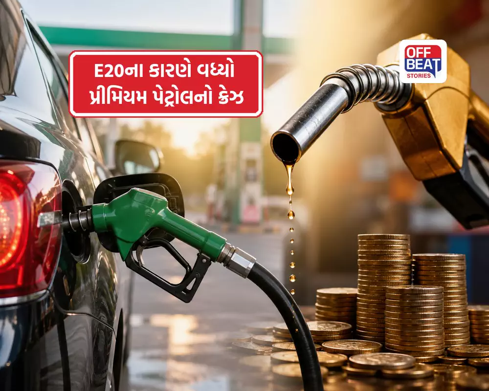 E20થી બચવા લોકોએ પસંદ કર્યો મોંઘો વિકલ્ય