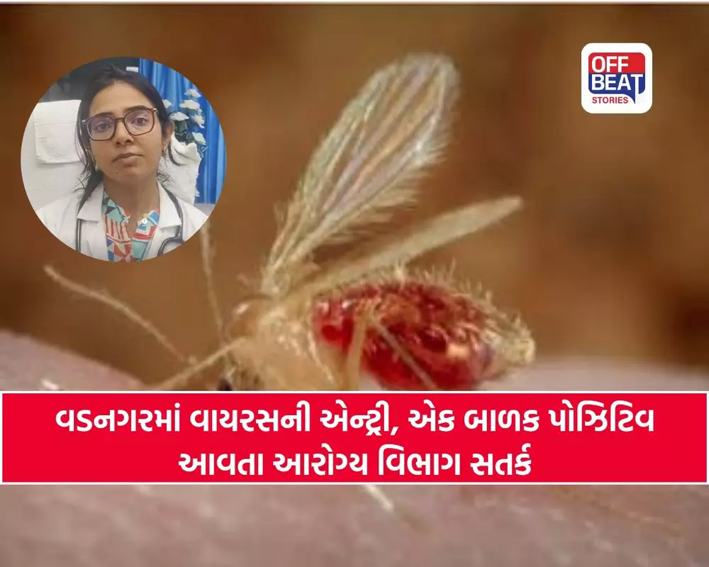 સાબરકાંઠા બાદ હવે વડનગરમાં ફેલાયો જીવલેણ વાયરસ!