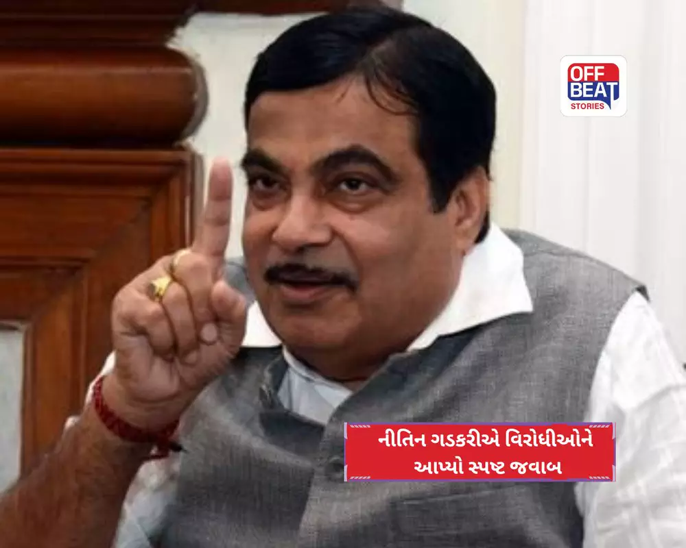 'E20થી માઈલેજ પર થશે થોડી અસર, પણ કાર ખરાબ થવાનો એકેય કેસ નથી'