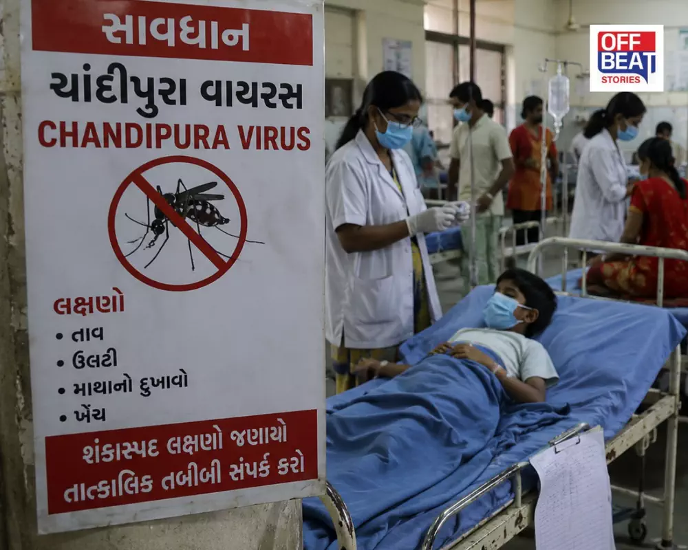 ચાંદીપુરા વાયરસ શું છે? કેમ માનવામાં આવે છે જીવલેણ?