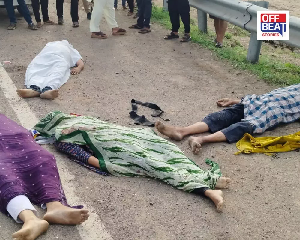 જૂનાગઢમાં ગમખ્વાર અકસ્માત