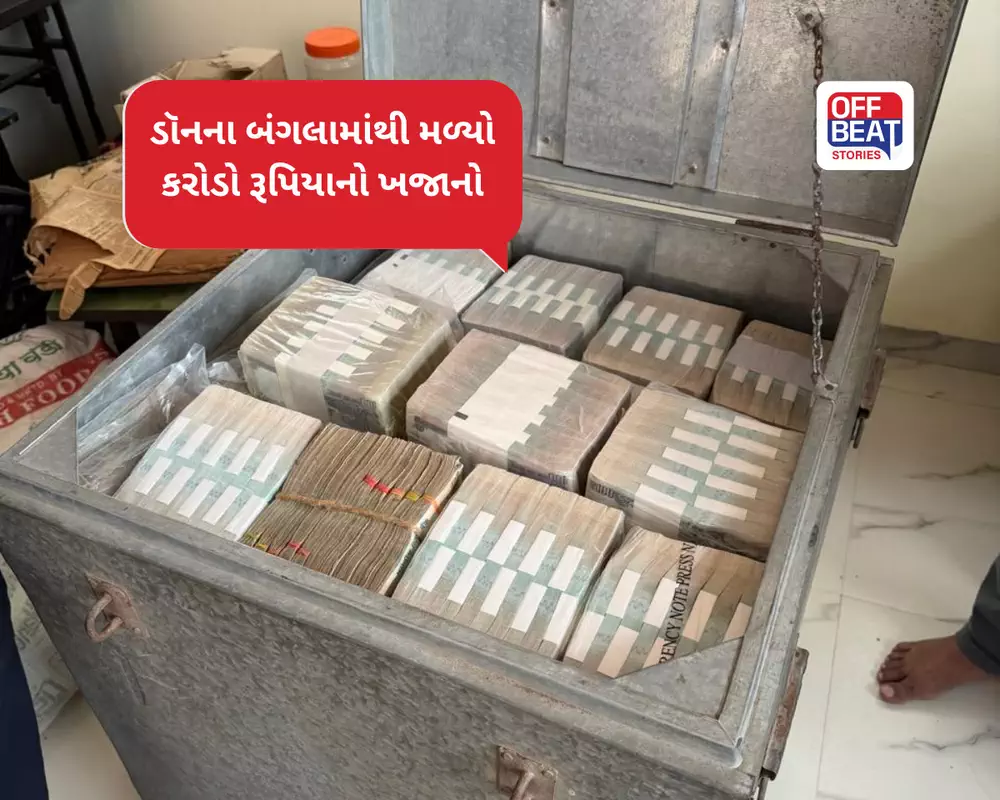 મહારાષ્ટ્રમાં ડૉનના આલીશાન બંગલામાંથી મળ્યા નોટોના ઢગલા