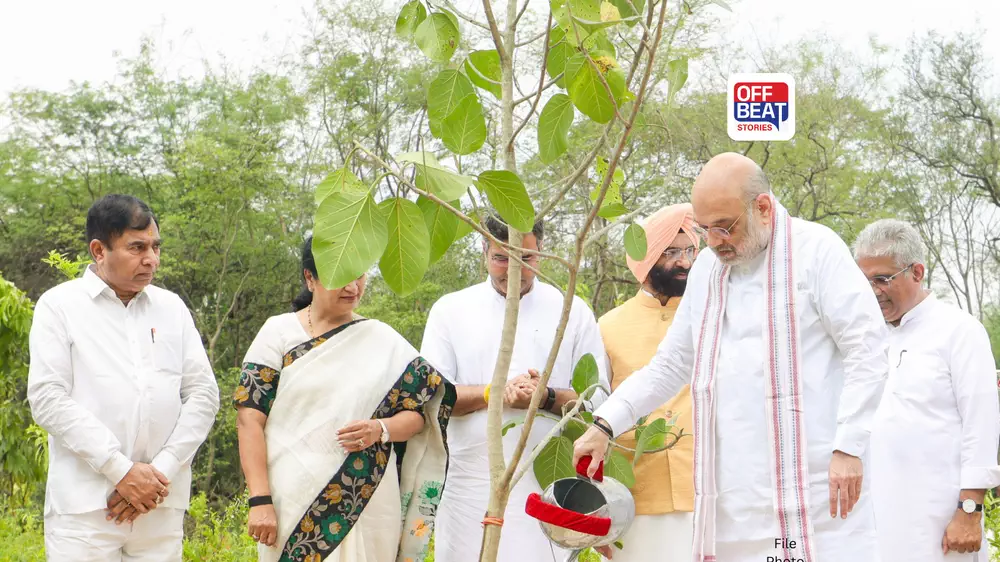 આજથી ત્રણ દિવસના ગુજરાત પ્રવાસે અમિત શાહ
