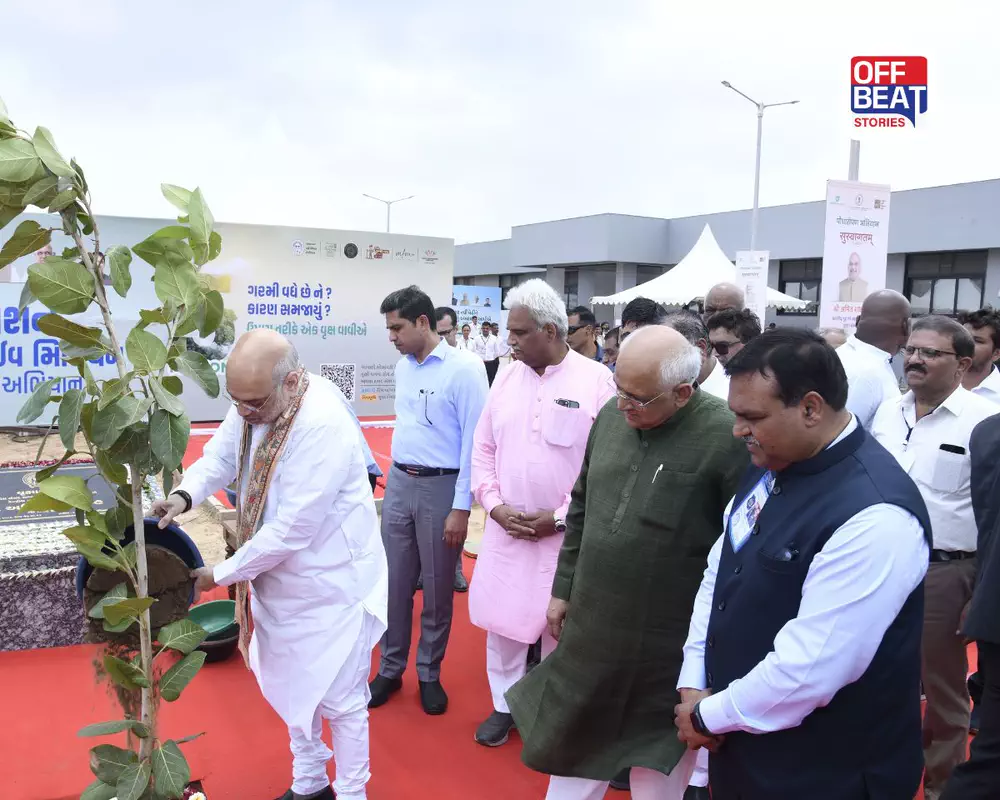 અમદાવાદ:અમિત શાહની ઉપસ્થિતિમાં એક જ દિવસમાં 1.25 કરોડ વૃક્ષોનું વાવેતર
