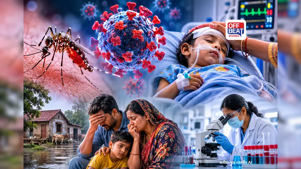 ચાંદીપુરા વાયરસ