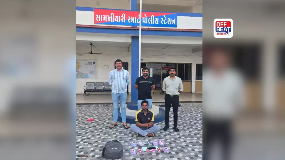 ઘરની અંદરથી જ રચાયું ચોરીનું કાવતરું!