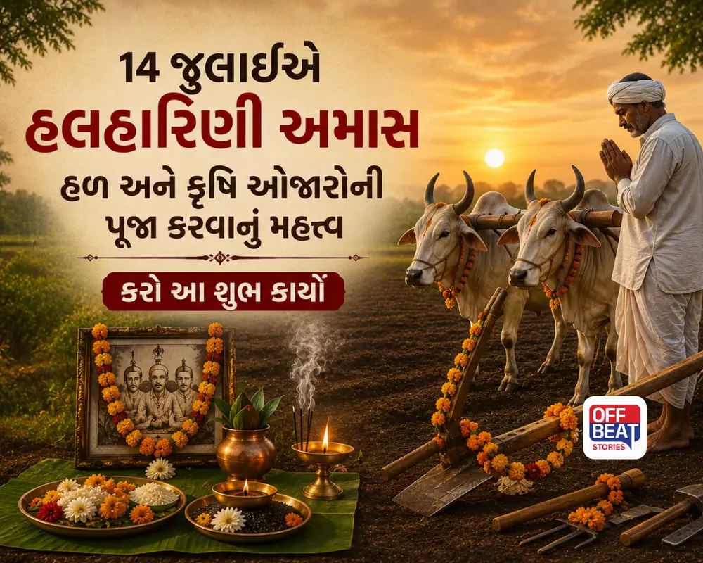 14 જુલાઈએ હલહારિણી અમાસ, જાણો પૂજા અને શુભ કાર્યોનું મહત્ત્વ