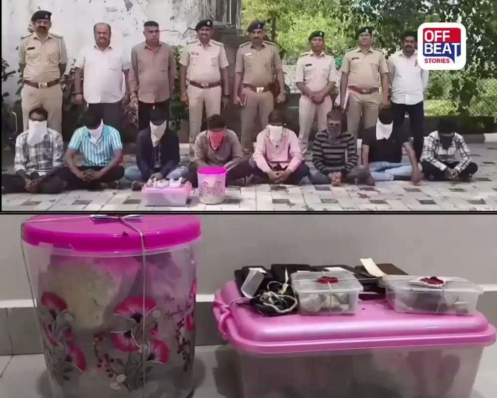 ભાવનગરમાં એમ્બરગ્રીસનો મોટો જથ્થો ઝડપાયો