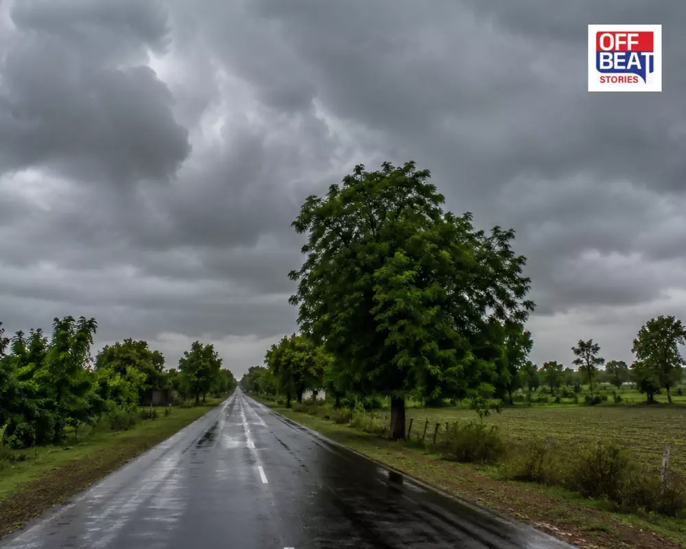 ગુજરાતમાં આજે ક્યાં જશે મેઘરાજાની સવારી?