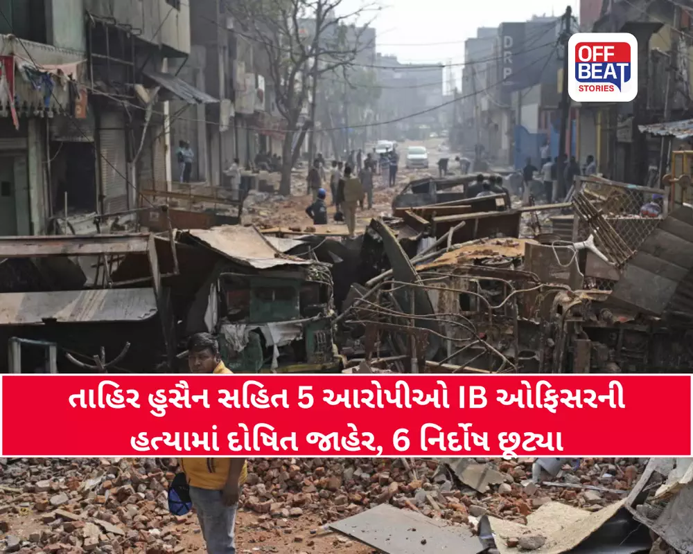 દિલ્હી રમખાણ કેસમાં મોટો ચુકાદો
