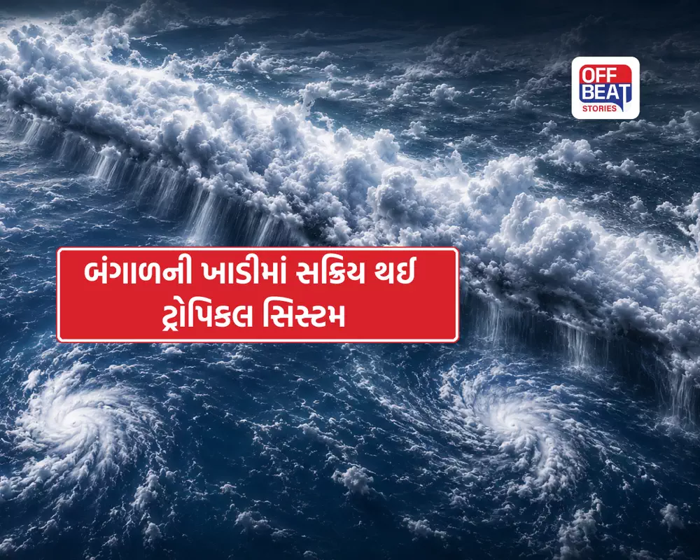 Monsoon Update