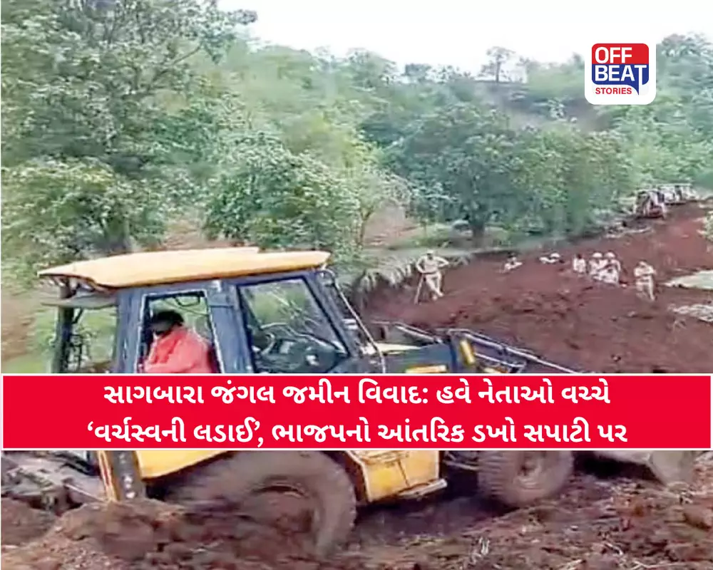 નર્મદાના સાગબારા જંગલ વિવાદે લીધો રાજકીય વળાંક