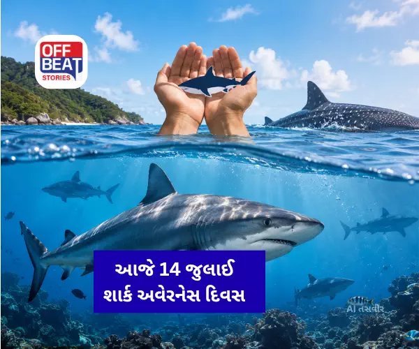 આજે 14 જુલાઈ